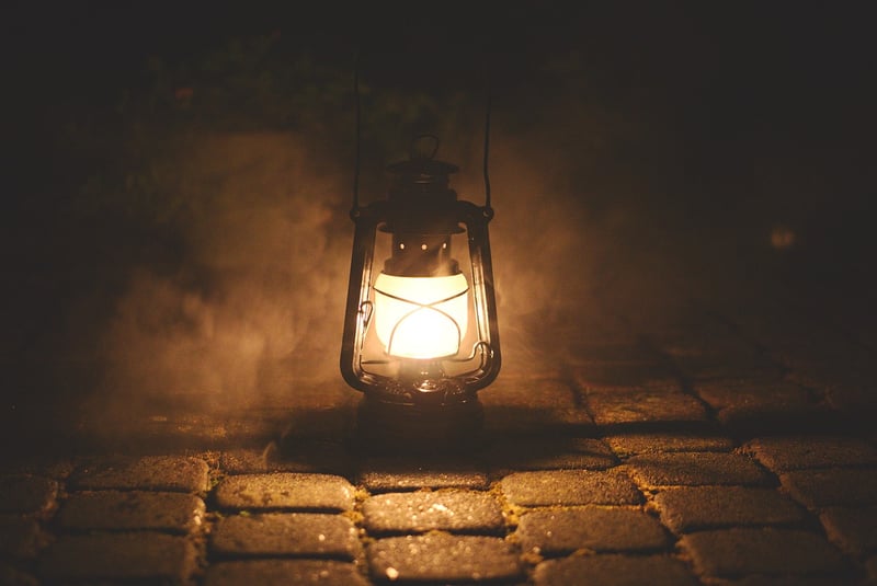 Nature-inspired lamp